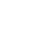 Airedale Terrier Definition