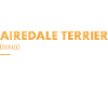 Airedale Terrier Definition