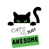 CATS ARE JUST AWESOME
