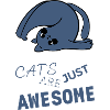 CATS ARE JUST AWESOME