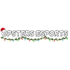 Opsters eSports Christmas Banner