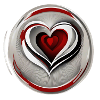 Hearts in the heart