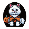 halloween white cat in hoodie