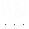 1984 Plot Surveillance Camera Filmed