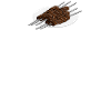 Shashlik & Heartbeat: Pure Passion