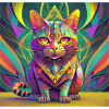 PSY Katze