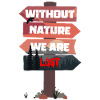 Nature's Compass: Our Guiding Light