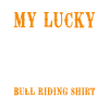Stierreiter Cowboy