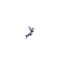 Stierreiter Stierreitender Cowboy