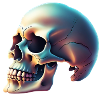 Printflow Skull Halloween