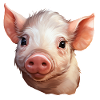 Piglet