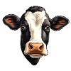 Kuhkopf, schwarz-weiß geflecktes Holstein-Rind