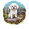 Dog Bichon Friesé