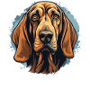 Dog Bloodhound