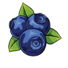 Blauberren Blauberre Cadeau