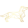 MRLORD TRIANGLE 2