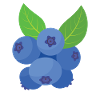 Blauberren Blauberre Geschenk