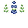 Blauberren Blauberre Cadeau