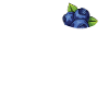 Blauberren Blauberre Cadeau