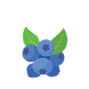 Blauberren Blauberre Cadeau