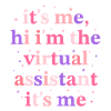 Freelancer Profession Self-employed Virtual