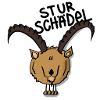 Steinbock Sturschädel