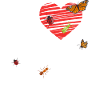 Insect Entomologist Biology
