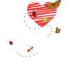 Insect Entomologist Biology