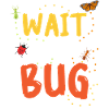 Insect Entomologist Biology