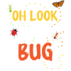 Insect Entomologist Biology