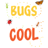 Insect Entomologist Biology