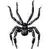 Araignée