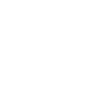 Bird Ostrich Ratites