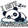 I HATE MORNINGS