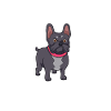 Frenchie Mom - French Bulldog