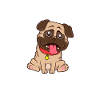 Pug Mom - Mops