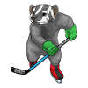 Dachs Eishockey Eishockeyschläger