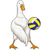 Duck Volleyball Player Volleyball