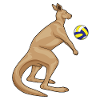 Kangaroo Volleyball Player Volleyball