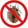 bed bug, bed bug