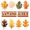 Autumn Vibes