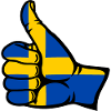 Sweden Flag All Clear Icon