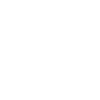 Violinist