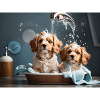 dogs bathing