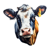 Kuh Milchkuh Holstein