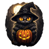 Black Cat