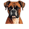 Dog Boxer