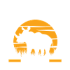 Nashorn