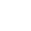Nashorn