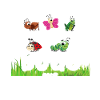 Insect Entomologist Biology
